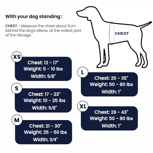 No Pull Dog Harness, Medium, Purple/Black | Non Restrictive, Neck Buckle Design, Easy Walk Freedom, Six Points Adjustment, Medium Dog Chest(21-30 inches) - color: Purple/Black, size: Medium
