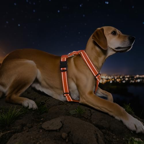 VavoPaw Dog Seat Belt Harness for Car, Dog Car Harness Adjustable Mesh Breathable & Dogs Seatbelt Safety Tether with Elastic Bungee for Small Medium Large Pets(Orange, M)