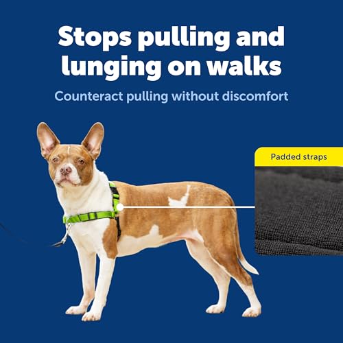PetSafe Easy Walk Deluxe Dog Harness, No Pull Dog Harness – Perfect for Leash & Harness Training – Stops Pets from Pulling and Choking on Walks – Medium, Apple - color: Apple Green, size: Medium (Pack of 1)