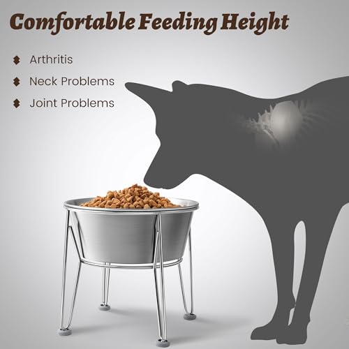 Elevated Dog Bowls for Large & Medium Dogs - Stainless Steel 64oz/8 Cup Raised Feeder with Non-Slip Base, Dual Food & Water Bowls 2-Pack - color: Raised Bowl, size: 8 Cups