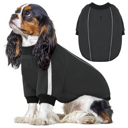 Queenmore Fleece Dog Sweater for Male Dogs, Soft Pullover Dog Sweatshirt with Leash Hole/Reflective Stripes – Cozy Winter Fleece Jacket for Small Medium Large Boy Puppy, Grey XS - color: Grey, size: X-Small