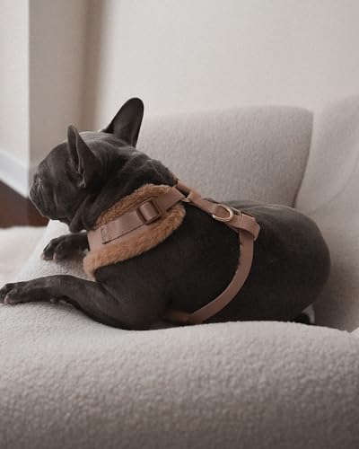 Premium No-Pull Dog Harness Soft Neoprene & Breathable Mesh Vest with Front & Back Clip D-Rings Adjustable Lightweight Walking Harness for Puppies, Small & Medium Dogs (Beige Fur Trim, L) - color: Beige Fur Trim, size: L: Neck=16.5-22''/Chest=22.4-32.7''