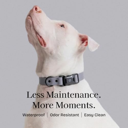 Fei & Eve VERO Dog Collar, Twilight Gray, Large | MagEase Magnetic Buckle, Waterproof PVC, Odor Resistant, Easy Clean, Heavy Duty - color: Twilight Gray, size: L