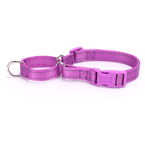 Martingale Dog Collars - Reflective Dog Collar with Quick Release Buckle Adjustable Nylon Training D Solution for Large, Medium, and Small Dogs (L, Purple) - color: Purple, size: L