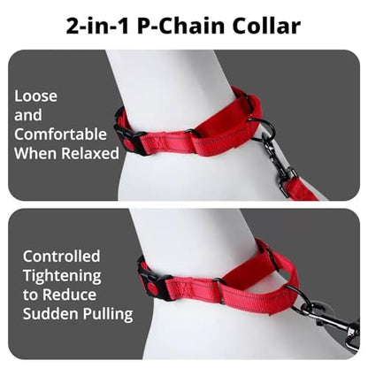 No Pull Martingale Dog Collar with Safety Lock Buckle, Quick-On Design, Gentle Control, Reflective Webbing, Adjustable Training Collar for Small Medium Large Dogs (Gray, L) - color: Gray, size: L