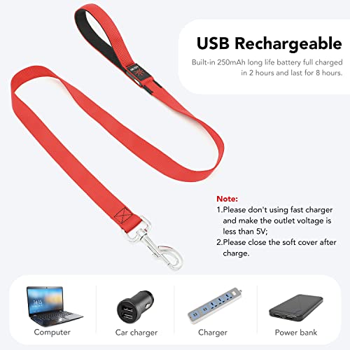 Colaseeme LED Light Up Dog Leash, USB Rechargeable (4FT,Red) | Glow in dark, reflective, USB-C rechargeable, bright LED for night safety, fits small to large dogs - color: Red, size: 4FT