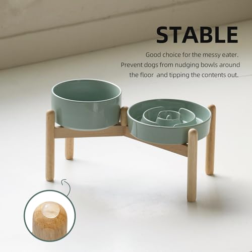 Havniva 7.3” Raised Slow Feeder Dog Bowls Set, 1.2 Cups Ceramic Slow Feeder Dog Bowl and 6.1” Dog Water Bowl with Elevated Wooden Stand Puzzle Dog Food Bowl for Small Dogs Anti-Gulping & Anti-Choking - color: 2 x Light Green+Stand-A, size: 7.3inch