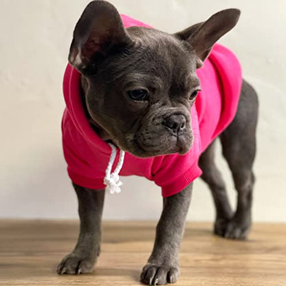 Free Hugs Dog Hoodie | Fleece Lined |Leash Hole| Valentine's Day | Love & Hearts|Red, Medium 379 - color: Red-Hoodie, size: Medium (6-12lbs)