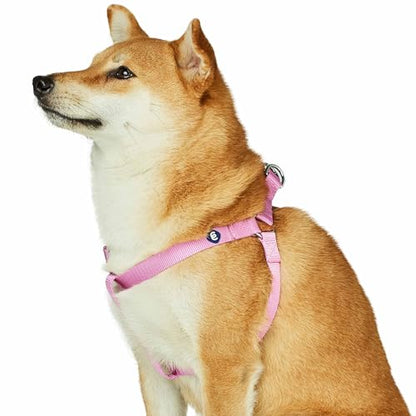 Blueberry Pet Essentials Step-in Dog Harness, Small Size | Adjustable Fuchsia Pink Vest | Classic Solid Nylon for Boy & Girl Dogs, Chest Girth 16.5" - 21.5" - color: Fuchsia Pink, size: Small