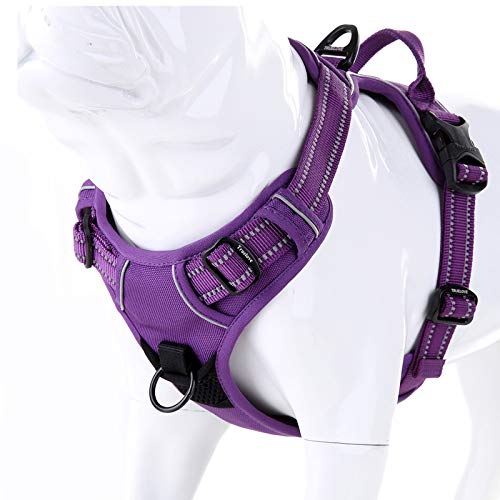 JUXZH Truelove No Pull Dog Harness with Easy Control Handle and 2 Leash Attachments ,Reflective Adjustable Pet Vest - color: purple, size: Small (Pack of 1)