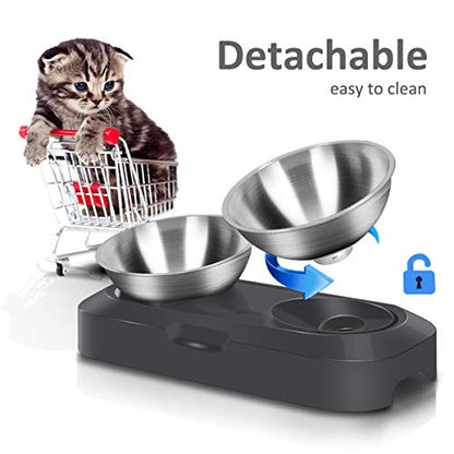 AYADA Raised Cat Food Bowl, Stainless Steel Cat Dish for Dry Wet Food Water, Anti Vomiting Elevated with Stand Ergonomic Lifted Slanted Tilted 15 Angle Metal Single Kitty Kitten Pet Bowl (Double) - color: Double
