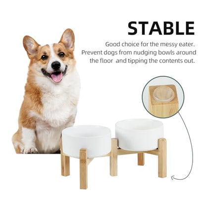 Havniva 6.1” Dog Bowls Elevated Ceramic Dog Food and Water Bowl Set, Double Raised Dog Water Bowl with Stand Non-Slip Rubber Base Two Heights Large Capacity Feeding Pet Food Bowl for Small Dogs - color: Matte White - 2 Bowls+Stand, size: 6.1 Inch