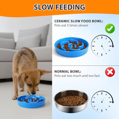 Slow Feeder Dog Bowl, Ceramic 2 Cups Dog Food Bowls for Small, Medium, and Large Breed, Anti-Slip Maze Puzzle Food Dish to Slow Down Eating (Blue, 2 Cups) - color: Flower - Blue