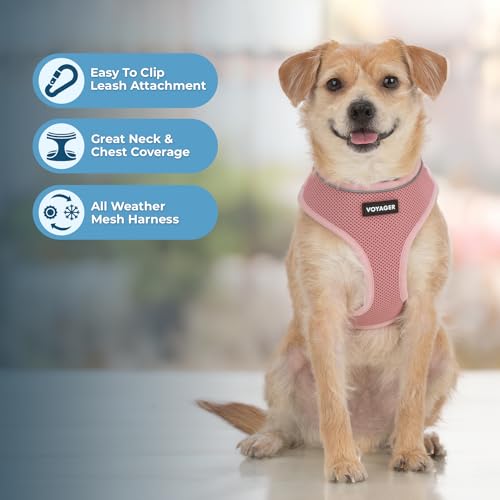 Best Pet Supplies Voyager Aerolite Over the Head Dog Harness, No Pull Breathable Air Mesh Vest, Quick Dry with Reflective Stitching, Adjustable Escape Resistant Harness - Pink, Small - color: Pink, size: S