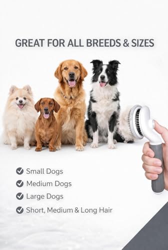 Self Cleaning Slicker Brush for Dogs & Cats – Deshedding Grooming Tool with One Click Hair Removal – Gentle for Sensitive Skin - color: GREY