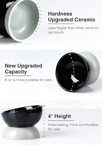 ABRUTY Cat Water Bowl, 16 OZ Ceramic Elevated Cat Bowls, 15° Tilted and Raised Pet Food Dish, Anti Vomiting Protect Pets' Spines and Whisker Fatigue, Black & Gray - color: Black & Gray, size: 1 Pack
