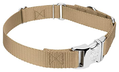 Country Brook Petz - Martingale Dog Collar - Heavy Duty Nylon Adjustable Martingale Dog Collar with Premium Buckle for Small Medium Large Breeds (5/8 Inch, Extra Small, Copper Gold) - color: Copper Gold, size: Extra Small (Pack of 1)