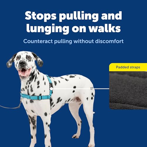 Petsafe Deluxe Easy Walk Harness, Large, Ocean Blue, EWH-D-HC-L-OCN - color: Ocean Blue, size: Large (Pack of 1)