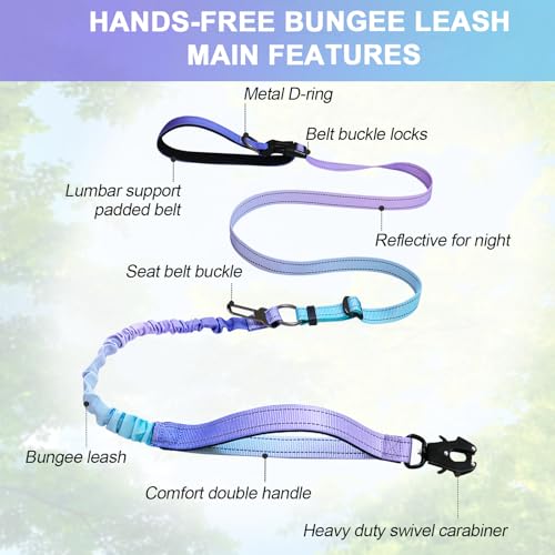 Heavy Duty Hands Free Dog Leash with Quick Release Carabiner and Adjustable No Pull Bungee Dog Running Waist Leash，for Walking and Training with Car Seat Belt 4-6FT (Aurora Purple) - color: Aurora Purple