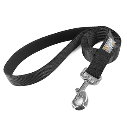 Basic Dog Leashes 6 FT Padded Handle Nylon Dogs Leashes for Small Dogs Black - color: Black, size: Small : 5/8" x 6 FT