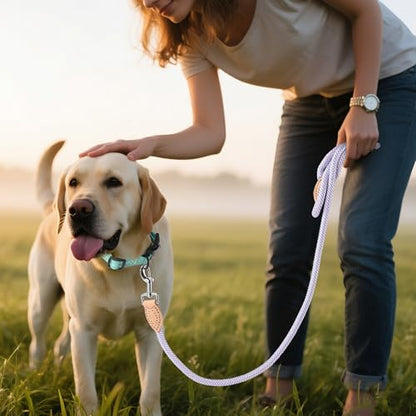 Mile High Life Dog Leash, Rope Leash with Genuine Leather Connection and Heavy Duty Metal Clasp, Great for Small Medium Large Dogs(Purple,48 Inch) - color: Rope Handle-Purple, size: 48 Inch-1/2"