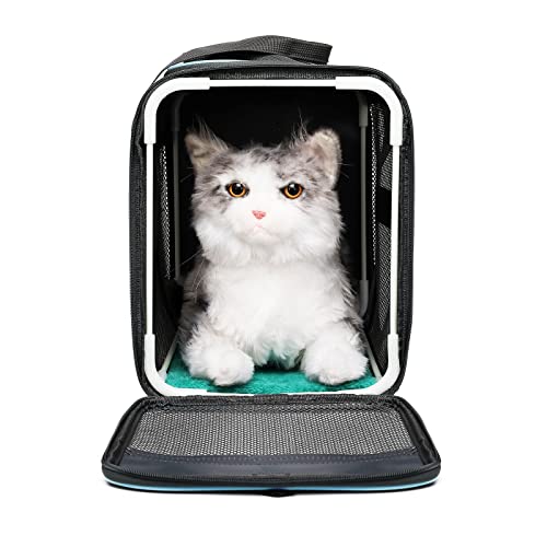Frame Soft Surface pet Carrier, cat, Dog and Rabbit Transport Carrier, Airline-Approved pet Transport Carrier, Carrier Non-Collapse Deformation and Safety Special Zipper Hook Design.
