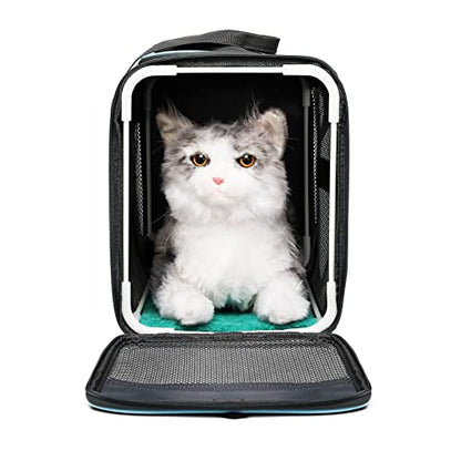 Frame Soft Surface pet Carrier, cat, Dog and Rabbit Transport Carrier, Airline-Approved pet Transport Carrier, Carrier Non-Collapse Deformation and Safety Special Zipper Hook Design.