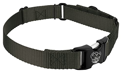 Country Brook Petz - Martingale Dog Collar - Heavy Duty Nylon Adjustable Martingale Dog Collar with Premium Buckle for Small Medium Large Breeds (5/8 Inch, Extra Small, Dark Olive Drab) - color: Dark Olive Drab, size: Extra Small (Pack of 1)
