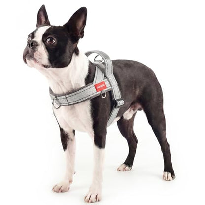 No Pull Dog Harness with Handle, Reflective Dog Vest, Light Grey, M | Adjustable, Front Leash Clip, Safety Lock Buckle, Breathable Mesh Padded, Quick Fit, for Boston Terrier & Small Dogs - color: Light Grey, size: Medium