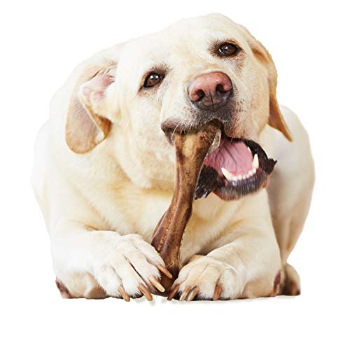 Nylabone Healthy Edibles WILD Natural Longer-Lasting Chew Treats, Venison Flavor, Large Dogs Up to 50 lbs - Made in USA (1 Count) - size: 1 Count (4.9 oz) (Pack of 1)