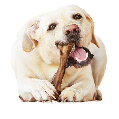 Nylabone Healthy Edibles WILD Natural Longer-Lasting Chew Treats, Venison Flavor, Large Dogs Up to 50 lbs - Made in USA (1 Count) - size: 1 Count (4.9 oz) (Pack of 1)