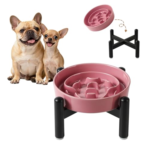 Elevated Slow Feeder Dog Bowl, 0.8 Cups Ceramic Raised Slow Feeder with Stainless Stand, 6.3 Inch Wide Lifted Dog Bowl for Small Breeds to Control Eating Speed, Pink - color: Pink, size: Small with Stand