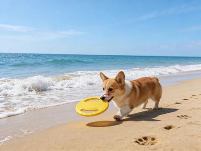 Soft Dog Flying Discs Beach Accessories, Float Outdoor Puppy Flyer Pull Loop Tug Disk Water Swimming Pool Lawn Yard Animal Activity Training Sports Gift- Upgrade Dog Fun Game Toys