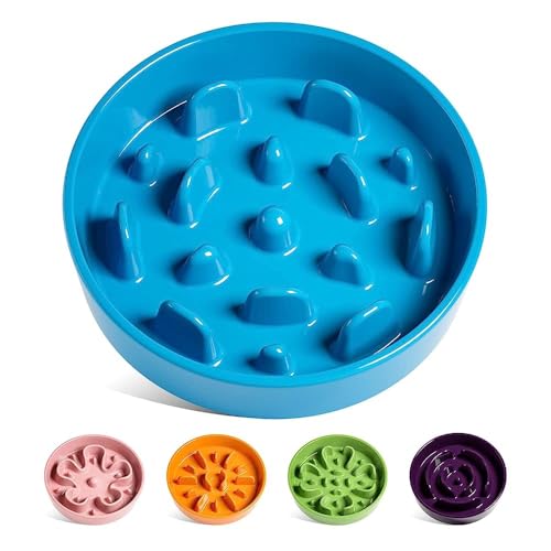 LE TAUCI Slow Feeder Dog Bowls Ceramic, 3 Cups Slow Feeding Dog Bowl Medium Large Breed, Puzzle Pet Dishes,Vortex Blue - color: Vortex Blue, size: L-3 Cups
