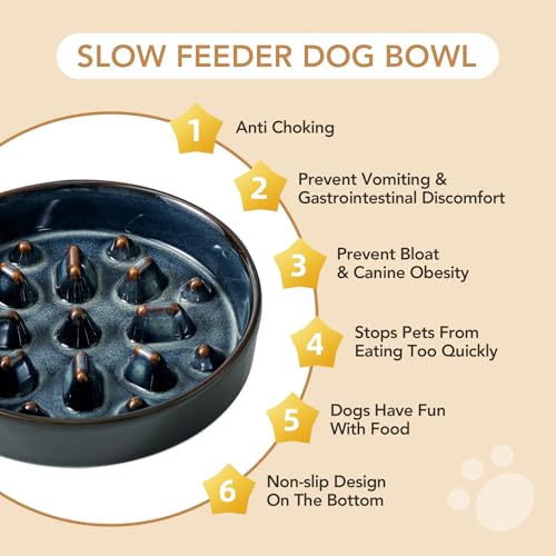 Havniva 1.6 Cup Elevated Slow Feeder Dog Bowls, 8.2” Dog Slow Feeding Bowls + 7.3” Ceramic Dog Water Bowls Set with Acacia Wood Stand Dog Food Bowls Puzzle Feeder for Medium Dogs Non-Slip Anti-choking - color: 2 x Starry Sky + Stand - C, size: L- 8.2inch