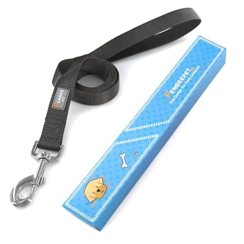 Basic Dog Leashes 6 FT Padded Handle Nylon Dogs Leashes for Small Dogs Black - color: Black, size: Small : 5/8" x 6 FT