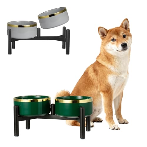Ceramic Elevated Dog Bowl Set - Dog Feeder Station with Double Bowls for Small and Medium Size Breed - Non-Slip Raised Dish for Food and Water Feeding- 6 Inch - 3.5 Cups / 22 fl oz - Green - color: Green, size: M