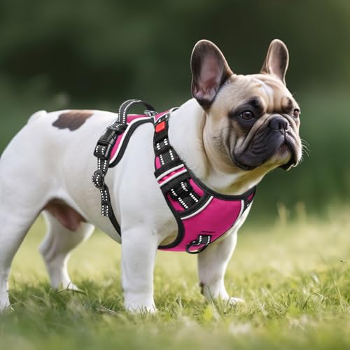 Timos No Pull Dog Harness, No Choke Front Lead Dog Reflective Harness, Adjustable Soft Padded Pet Vest with Easy Control Handle for Small Medium Large Dogs, S - color: Lock-Rosy, size: Small (Pack of 1)
