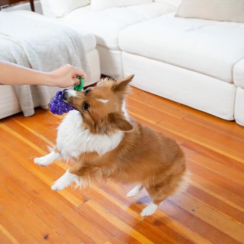 Outward Hound Dental Grapes Dog Toy & Treat Stuffer, 6″ x 3″ Grape-Scent Interactive Chew for Dogs, Helps Clean Teeth, Promote Healthy Gums & Mental Enrichment, Reduce Boredom & Support Dental Health - color: Grape