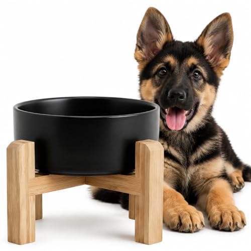 hjn Elevated Ceramic Dog Bowl with Bamboo Stand, Raised Pet Feeding Station for Small Medium Dogs Cats, Modern Design with Anti-Slip Base (Black, 3.6Cup) - color: Black, size: 3.6Cup