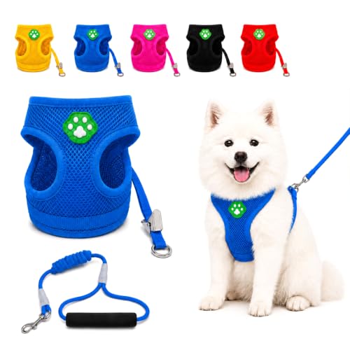 Dog Harness Small Sized and Leash Set, Step in Soft Light Puppy Vest, Breathable Mesh Pet Harness, Adjustable Pet Puppy Harness, Easy Walk Dog Harness, S: Chest 7.8-13.7" - color: Blue, size: S: Chest 7.8-13.7" Leash 3.8 FT