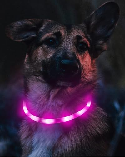 Joytale Light Up Dog Collar, Rechargeable Rainproof LED Collar for Night Walking Safety, Soft Silicone Glow in The Dark, Suitable for Small Medium Large Dogs, Purple - color: Purple