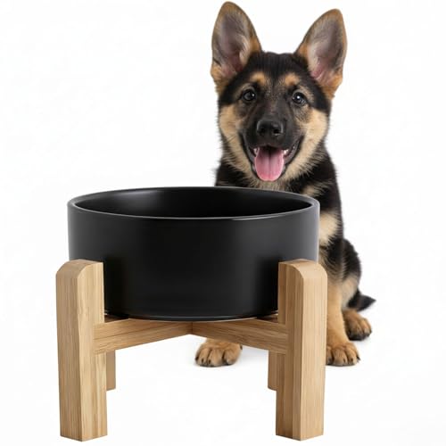 hjn Elevated Ceramic Dog Bowl with Bamboo Stand, Raised Pet Feeding Station for Small Medium Dogs Cats, Modern Design with Anti-Slip Base (Black, 3.6Cup) - color: Black, size: 3.6Cup