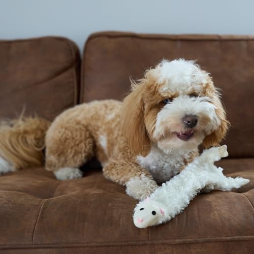 SPOT Skinneeez Crinklers Lamb - Stuffing-Free Dog Toy with Crinkle & Squeaker Sounds, Durable for Moderate Chewers, Tug Toy for Small Dogs & Puppies, 14in - style: Small Lamb