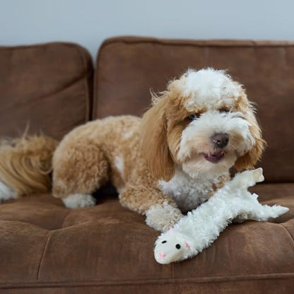 SPOT Skinneeez Crinklers Lamb - Stuffing-Free Dog Toy with Crinkle & Squeaker Sounds, Durable for Moderate Chewers, Tug Toy for Small Dogs & Puppies, 14in - style: Small Lamb