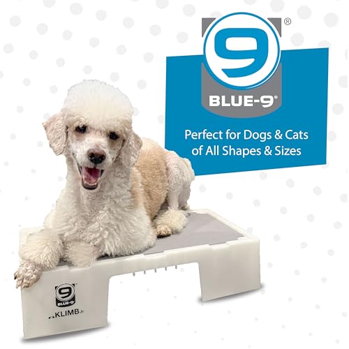 Blue-9 KLIMB Jr. Professionally Designed Dog Training Platform and DIY Guide for Behavior Basics, Made in The USA, White - color: White