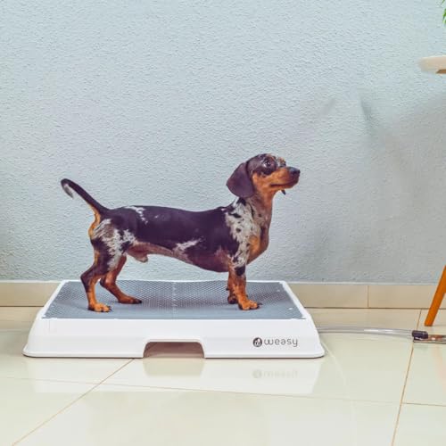 Weasy Smart Dog Potty for Medium Dogs - White and Gray - Medium