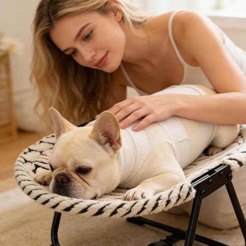 Outdoor Dog Bed - Portable Foldable Washable Non Slip Cot,Foldable 22.44 x 16.14 x 10.23Inch Lifted Dog Bed | for Pets Cats Kitten Puppy Sleep Rest Camping Travel - size: B