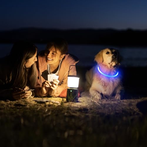 HIGO LED Dog Collar, USB Rechargeable Light Up Dog Collars Glow in the Dark, TPU Cuttable Pet Safety Dog Necklace for Nighttime Dog Walking (Blue) - color: Blue