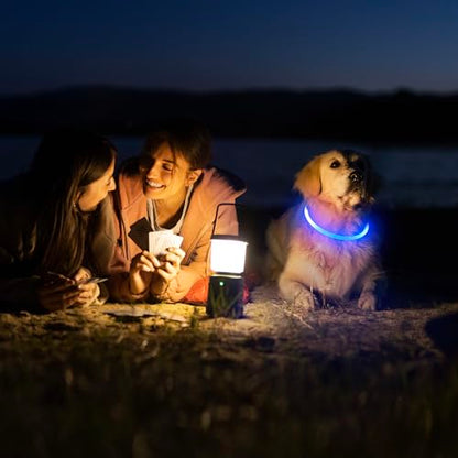 HIGO LED Dog Collar, USB Rechargeable Light Up Dog Collars Glow in the Dark, TPU Cuttable Pet Safety Dog Necklace for Nighttime Dog Walking (Blue) - color: Blue